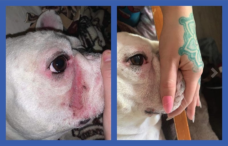 Squishface Flexible Silicone Dog Wrinkle Paste Applicator - Gentle Paste Application - Softer, Cleaner Way to Apply Wrinkle Paste & Tear Stain Paste to Your Dog's Face - for Every Product & Breed! - Image 4